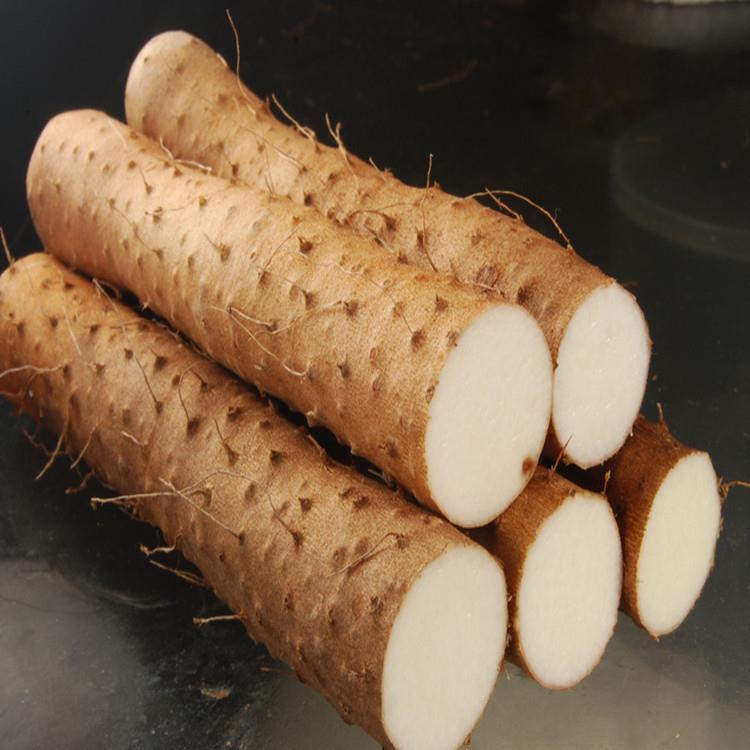 1442255501_1533622523.jpg wild yam extract benefits