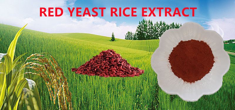 Red yeast rice extract