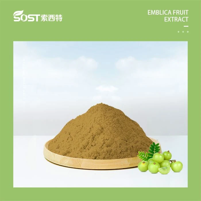 Emblica Officinalis þykkni