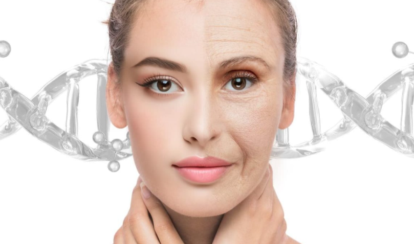 Salmon PDRN powder advantage Salmon PDRN powder advantage