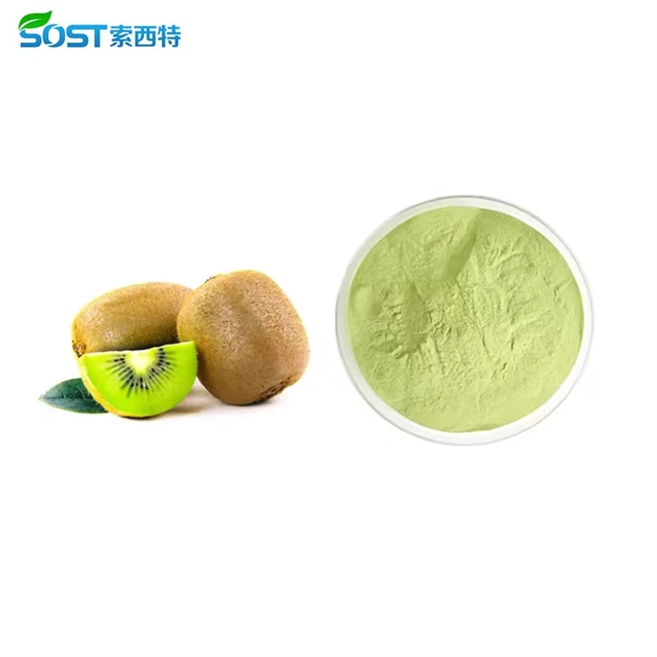 Kiwi Fruit Juice Powder2