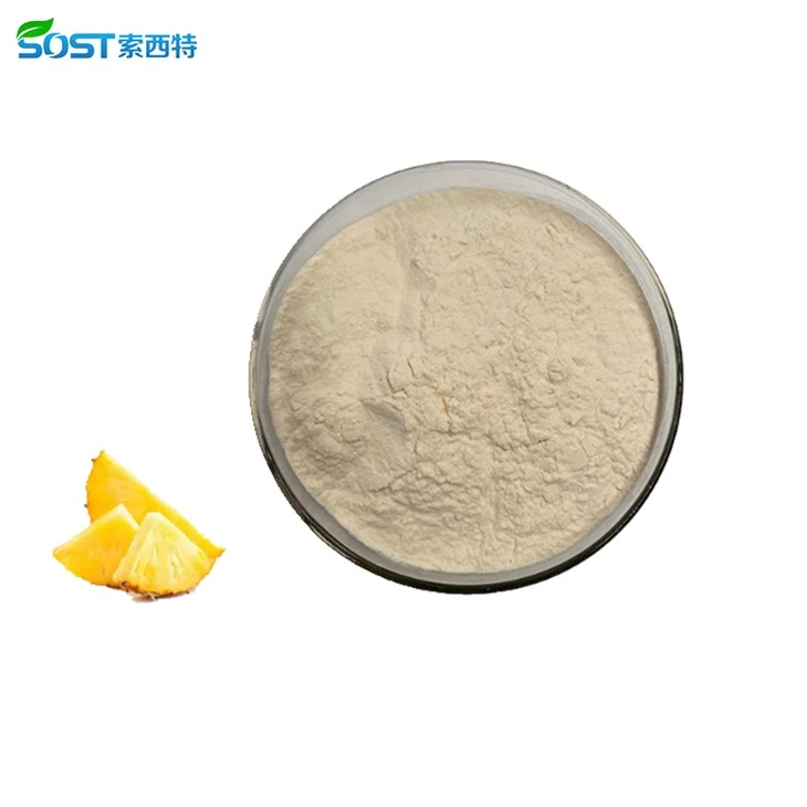 Pineapple Fruit Protein Juice powder2