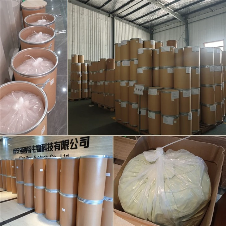 Black Garlic Extract factory
